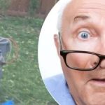 Čudno otkriće u blizini stabla ostavilo je susjedu u nedoumici: