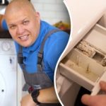 Kako očistiti perilicu od plijesni i mirisa: jeftin savjet stručnjaka