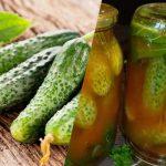 Kako prekriti krastavce u kečapu od čilija za zimu: 3 neusporediva recepta Kako prekriti krastavce u kečapu od čilija za zimu: 3