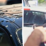 Ptice više neće srati po automobilima: evo što trebate učiniti